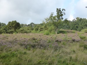 P1020923