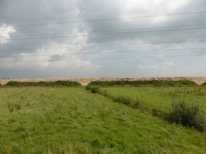 P1020927