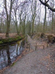 20160315 10.22 Hulshorst sloot rondje veluwe