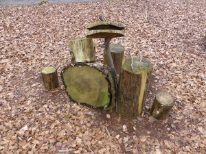 20160315 10.30 hulshorst rondje veluwe