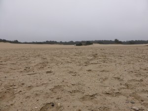 20160315 11.19 Hulshorster Zand rondje veluwe