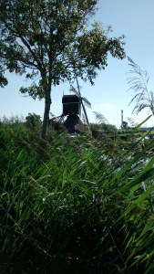 20160830 13.45 bleskensgraaf hofwegense molen pelgrimspad