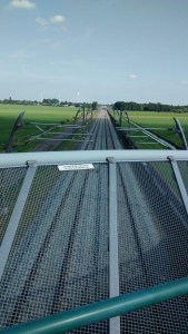 20160830 16.07 hardinxveld viaduct betuwelijn
