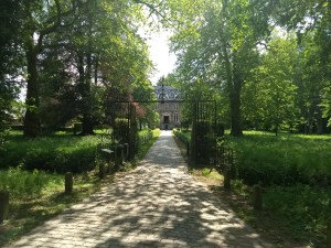 IMG_20180522_150428117_BURST000_COVER