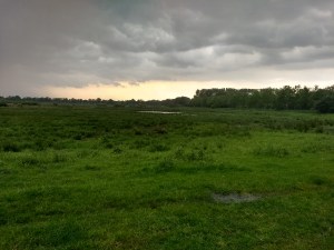 IMG_20180522_165828649_HDR