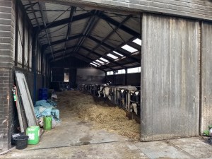 IMG_20180524_101104674_HDR