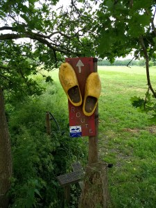 IMG_20180524_101258691