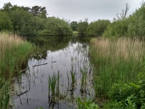 IMG_20180524_113553232_HDR