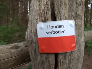 IMG_20180524_115940864_BURST000_COVER