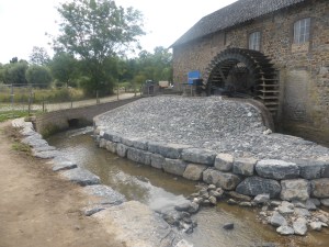 P1130653