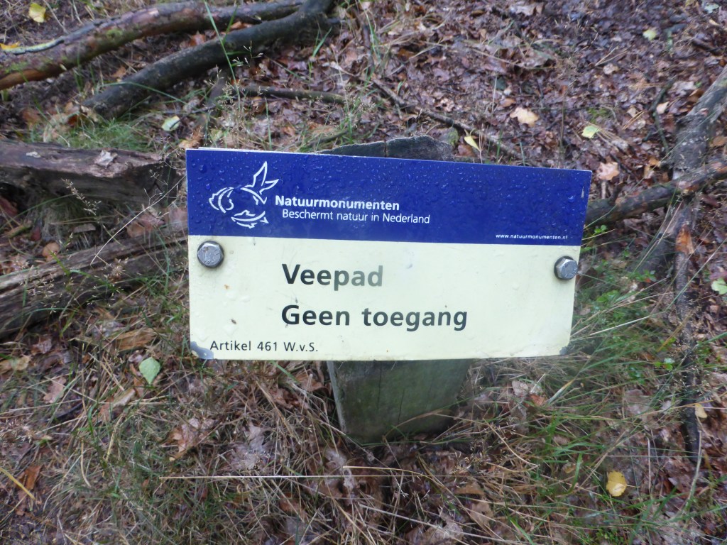 Deze afbeelding heeft een leeg alt-atribuut; de bestandsnaam is p1160950.jpg