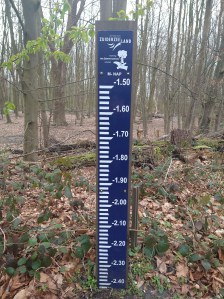 Deze afbeelding heeft een leeg alt-atribuut; de bestandsnaam is img_20210409_103820931.jpg