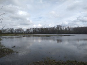 Deze afbeelding heeft een leeg alt-atribuut; de bestandsnaam is img_20210409_141608341.jpg