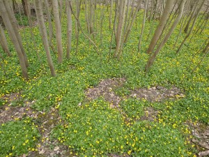 Deze afbeelding heeft een leeg alt-atribuut; de bestandsnaam is img_20210409_144503447.jpg