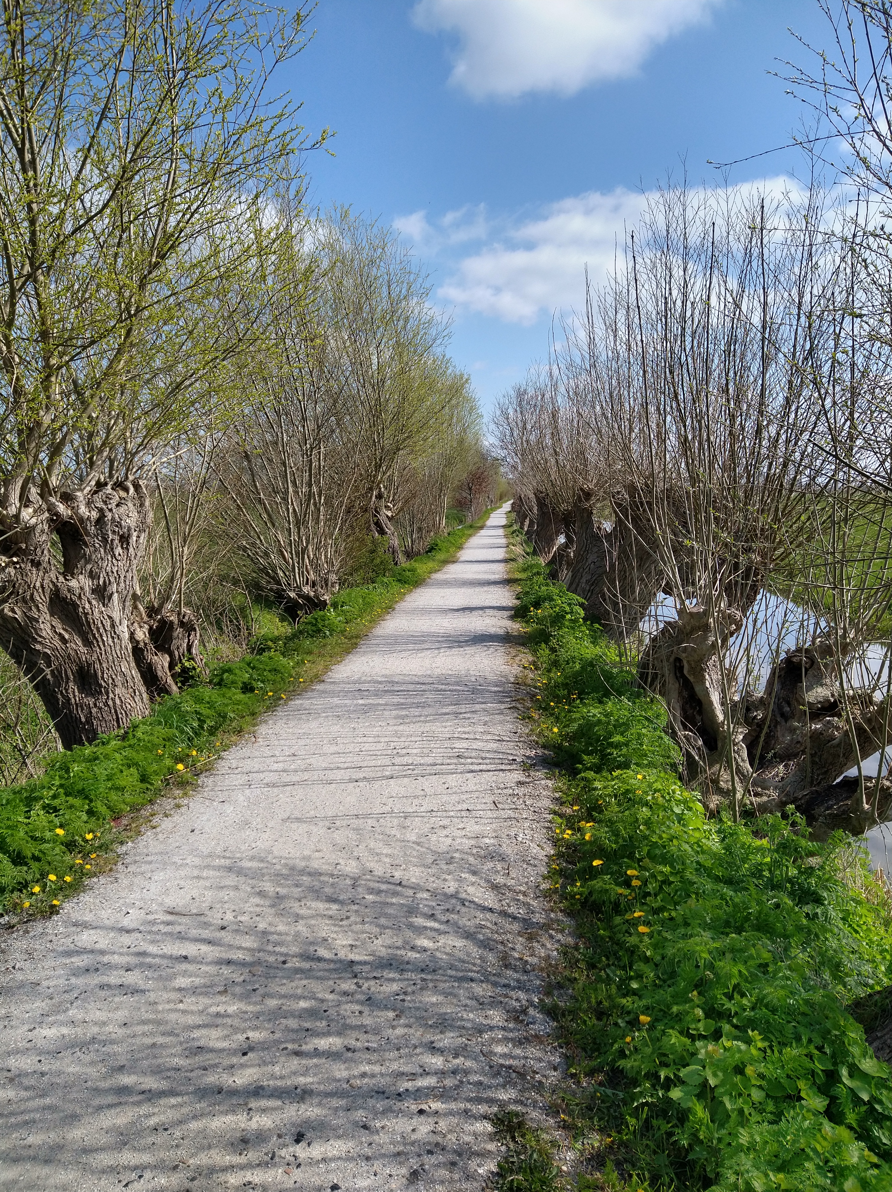 Deze afbeelding heeft een leeg alt-atribuut; de bestandsnaam is img_20210423_113555500_hdr.jpg