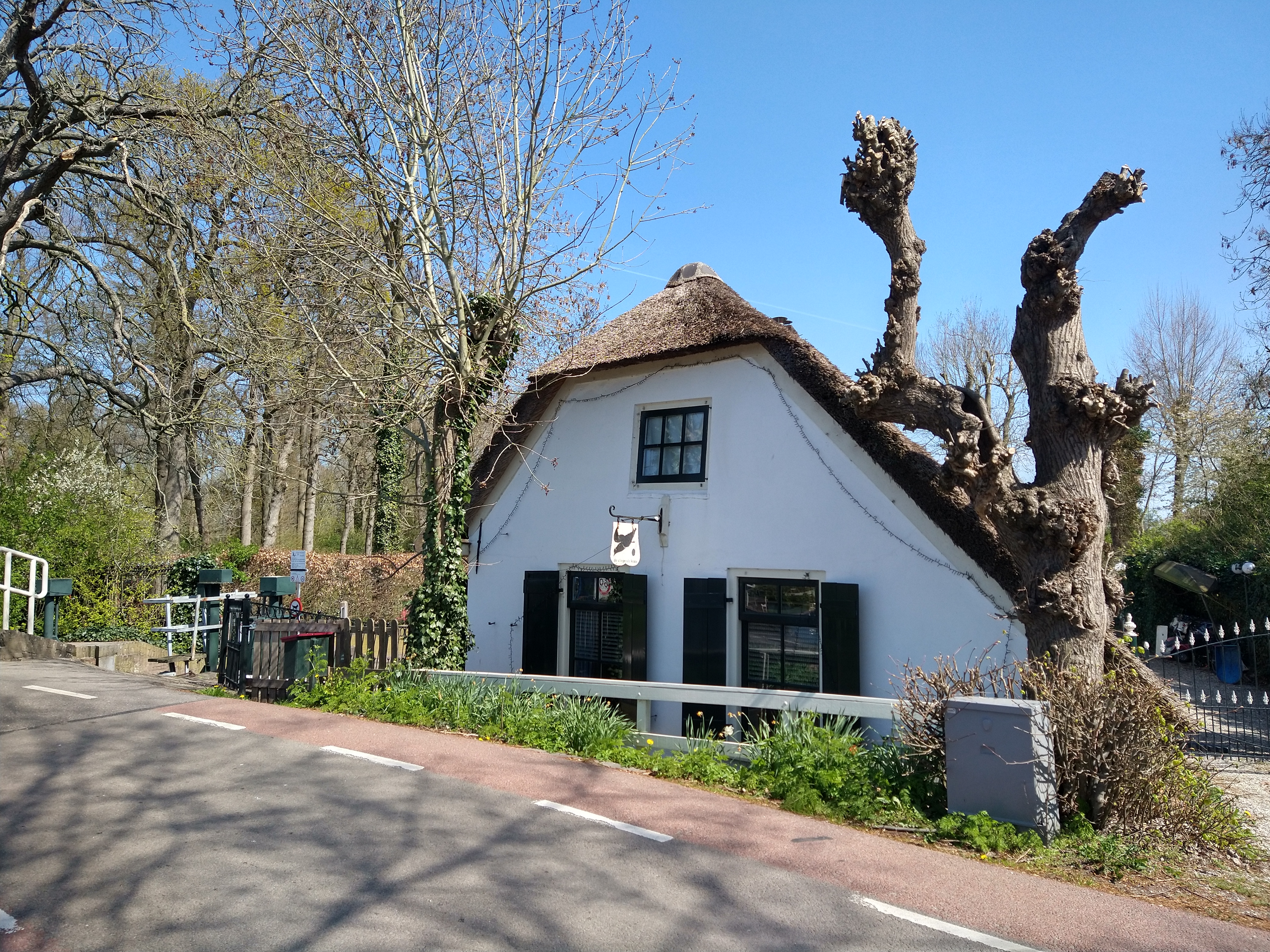 Deze afbeelding heeft een leeg alt-atribuut; de bestandsnaam is img_20210423_142604281_hdr.jpg