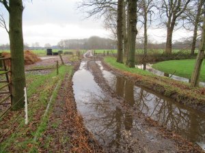 Deze afbeelding heeft een leeg alt-atribuut; de bestandsnaam is 20220107112634_img_13625958851116890527374.jpg