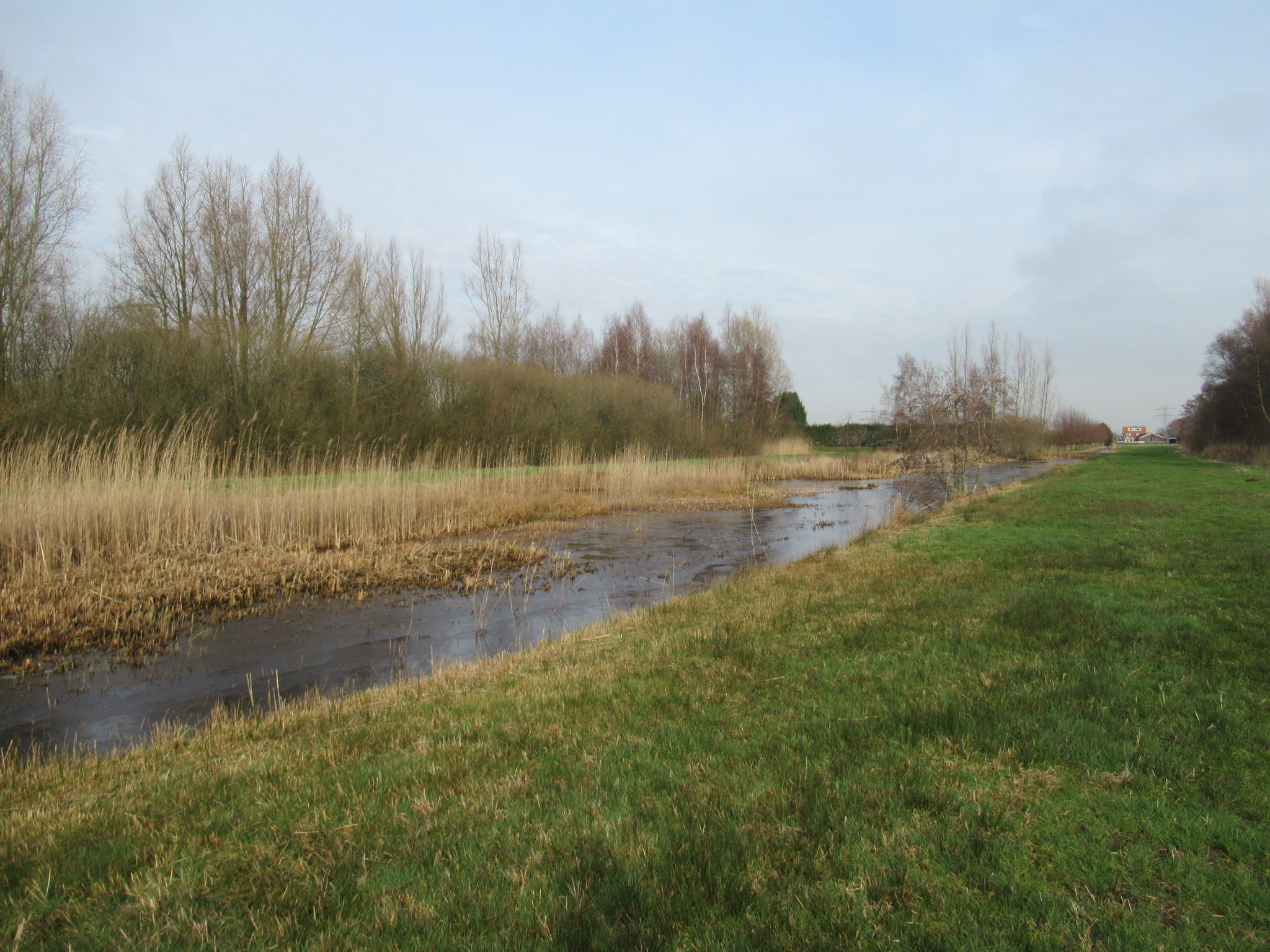 Trage Tocht Noorderpark – Willems Wonderlijke Wandelingen